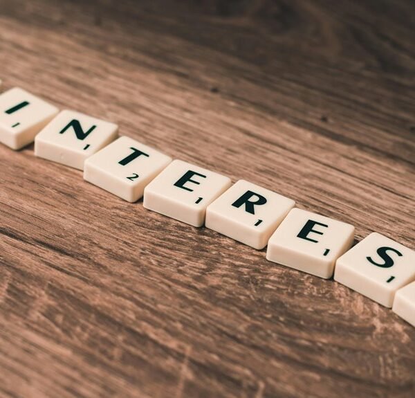 website growth for seo