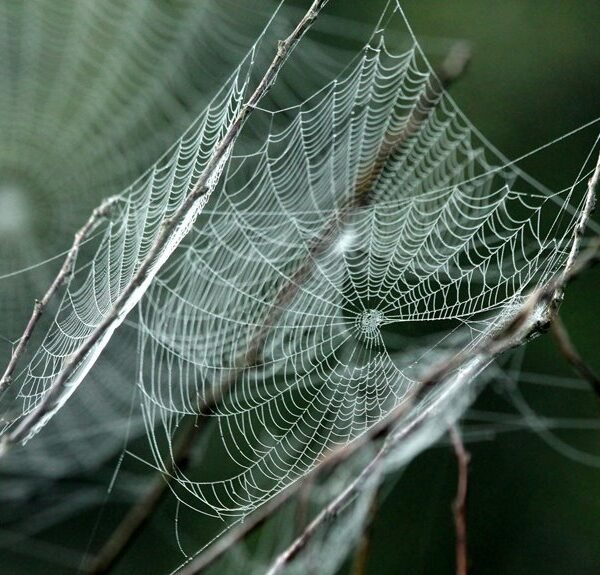 creative web engine cloud network